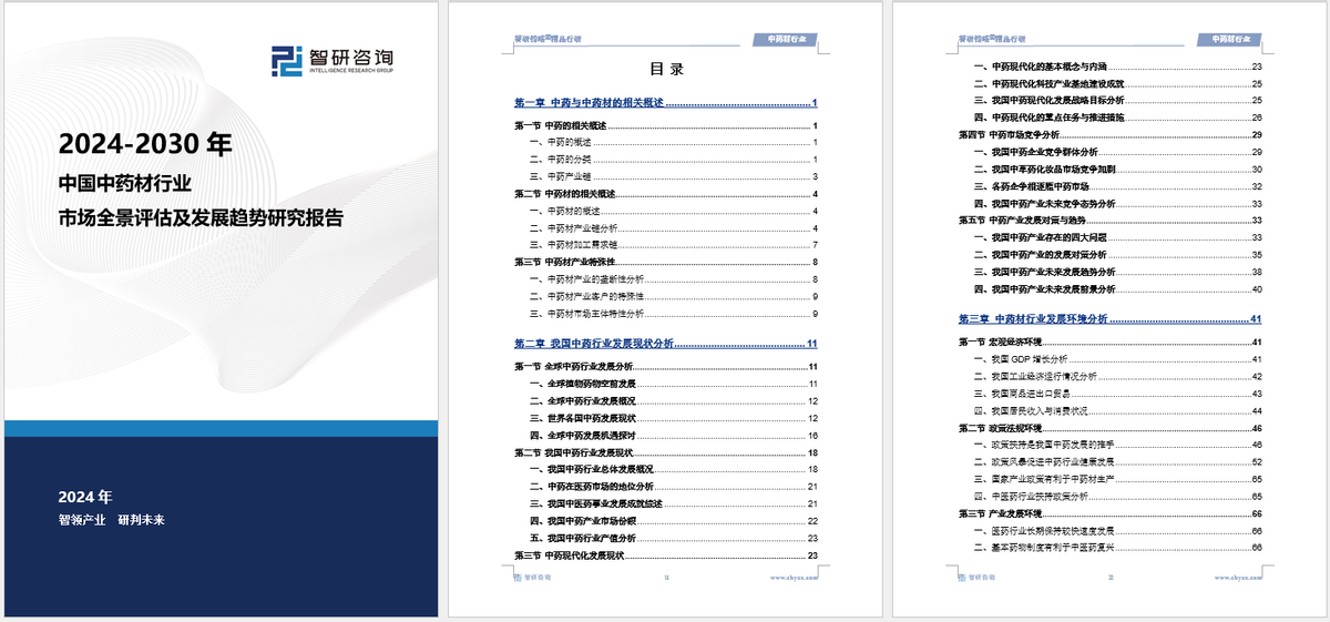 2025年正版资料免费大全中特精选解析、落实与策略