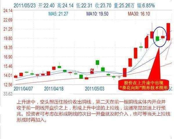 澳门和香港今晚一肖必中特详细解答、解释与落实