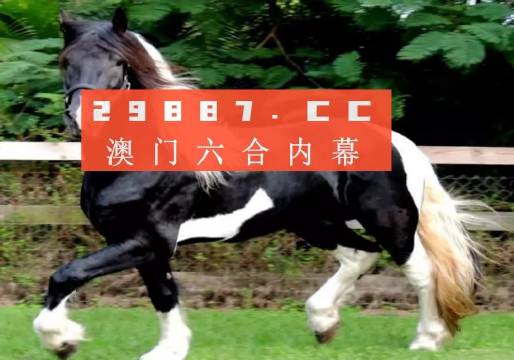 澳门和香港门和香港精准四肖期期中特公开精选解析、解释与落实